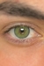 Urban Layer Orlando N Emerald Lente de contato verde natural anual pupila reduzida