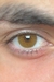 Lente Maldives Brown original Urban Layer anual super natural marrom mel