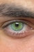 Lente de contato verde claro dupe neala green anual pupila reduzida