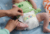 Pañales para bebes