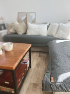 COMBO ESQUINERO - 1 Pillow Tusor Sillón 3 Cuerpos & 1 Pillow Tusor Sillón 2 Cuerpos en internet