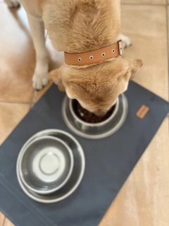 Alfombra Gris para Comedero & Bebedero - PETRA HOME