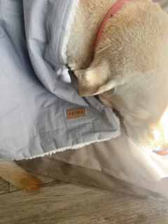 MANTA CORDERITO NATURAL - 80x100cm en internet