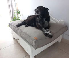 Cama Atenas - M/L (85x60 cm) - CEMENTO - comprar online