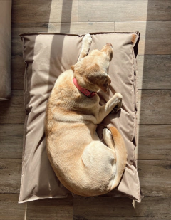 Cama Roma - 100x70 cm - VISON - impermeable & antidesgarro - comprar online