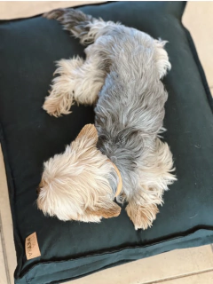 Cama Atenas - S (60x50 cm) - ROSA