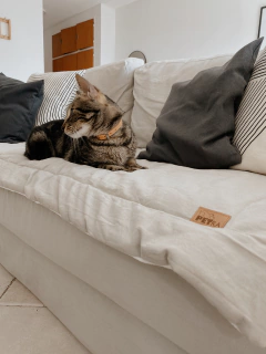 Pillow tusor GRIS PERLA /BLANCO TIZA - 2 Cuerpos - comprar online