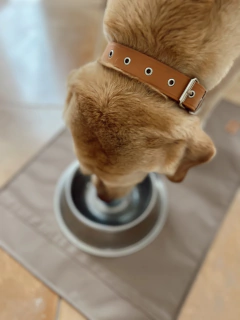 Alfombra Visón para Comedero & Bebedero - comprar online