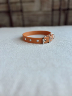 COLLAR SILICONA - TALLE M - PETRA HOME