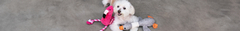 Banner da categoria Brincadeiras