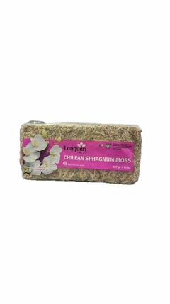 Musgo chileno 150g