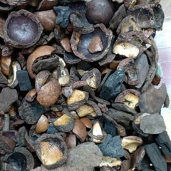 MIX DE MACADAMIA PARA ORQUIDEAS 1KG