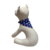 Imagem do Coleira de Couro Ecologica com Bandana para Cães e Gatos