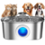 Fonte De Água De Aço Inoxidável Para Cães e Gatos - comprar online