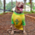 Roupinha Pet Brasil Amarela na internet