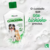 Shampoo e Condicionador Clorexidina 500ml - Help Rações e Pet Shop