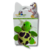 Brinquedo Pelúcia Tartaruga Dobo Pet - comprar online