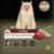 Imagem do Granel Golden Gatos Castrado Sabor Carne Kg