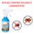 Inseticida Anti Pulgas Killer Blue Com Fipronil 250ml na internet