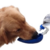 Bebedouro Dog Drinks na internet
