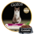 Granel Golden Gatos Castrados Frango kg