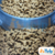 Granel Ração Misty Peixe para Gatos Adultos kg - comprar online