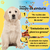 Granel Pedigree Filhotes kg - loja online