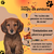 Granel Golden Formula Cães Mini bits Filhotes Frango e Arroz Kg - loja online