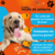 Granel Special Dog Junior kg - loja online
