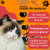 Imagem do Granel Special Cat Gatos Adultos Carne Kg