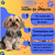 Imagem do Granel Special Dog UltraLife Sênior Raças Pequenas kg
