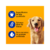 Sachê Pedigree Frango 100g - Ração Úmida para Cães - Nutrição Completa e Saborosa
