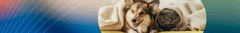 Banner da categoria Tartarugas e Acessórios