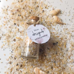 Potinho Conchas - Estúdio Coralina