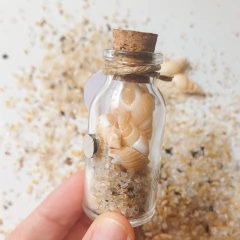 Potinho Conchas na internet