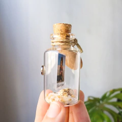 Potinho Areia e Conchas - loja online