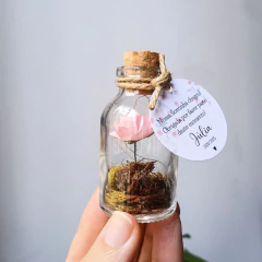 FLOR ETERNA na internet