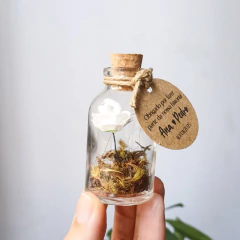 FLOR ETERNA - comprar online