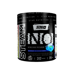 Steam NO x 312gr