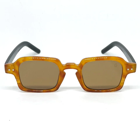 Óculos de Sol Boston - Animal Print Haste Preta - comprar online