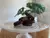 Alfajor Sablee de Chocolate con Mouse de Chocolate - comprar online