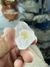 Imagem do Ponta Natural Lapidada e Polida de Cristal Quartzo Transparente
