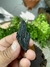 Imagem do Pingente Bruto e Natural de Cianita Black Vassoura de Bruxa