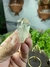 Imagem do Ponta Natural Semi Lapidado e Polido de Cristal de Quartzo Transparente