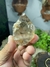 Imagem do Ponta Natural e Bruta de Cristal de Quartzo Fumê Conhaque Transparente