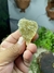 Muscovita Amarela Foliâcea / Mica Ponta de Flecha Dourada Bruta e Natural