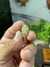 Pingente Bruto e Natural de Mica Estrela - comprar online