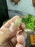 Pingente Bruto e Natural de Mica Estrela na internet