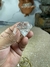 Imagem do Cristal Formato de Diamante Transparente - Clareza e Energia
