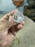 Cristal Formato Diamante Transparente - Clareza e Energia - Portal dos Cristais